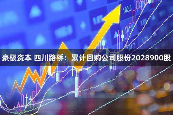 豪极资本 四川路桥：累计回购公司股份2028900股